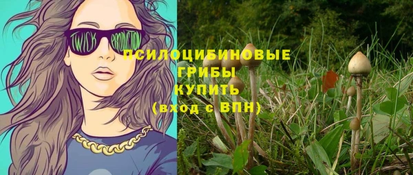 экстази Михайлов