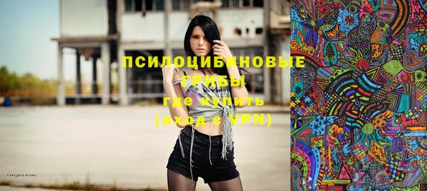 экстази Михайлов