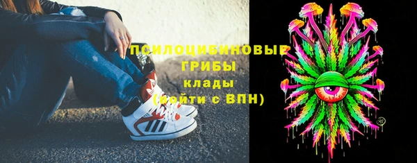 экстази Михайлов
