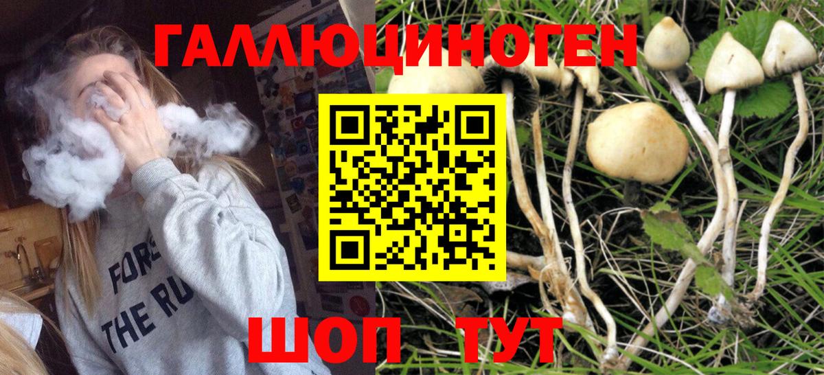 Псилоцибиновые грибы прущие грибы Электрогорск