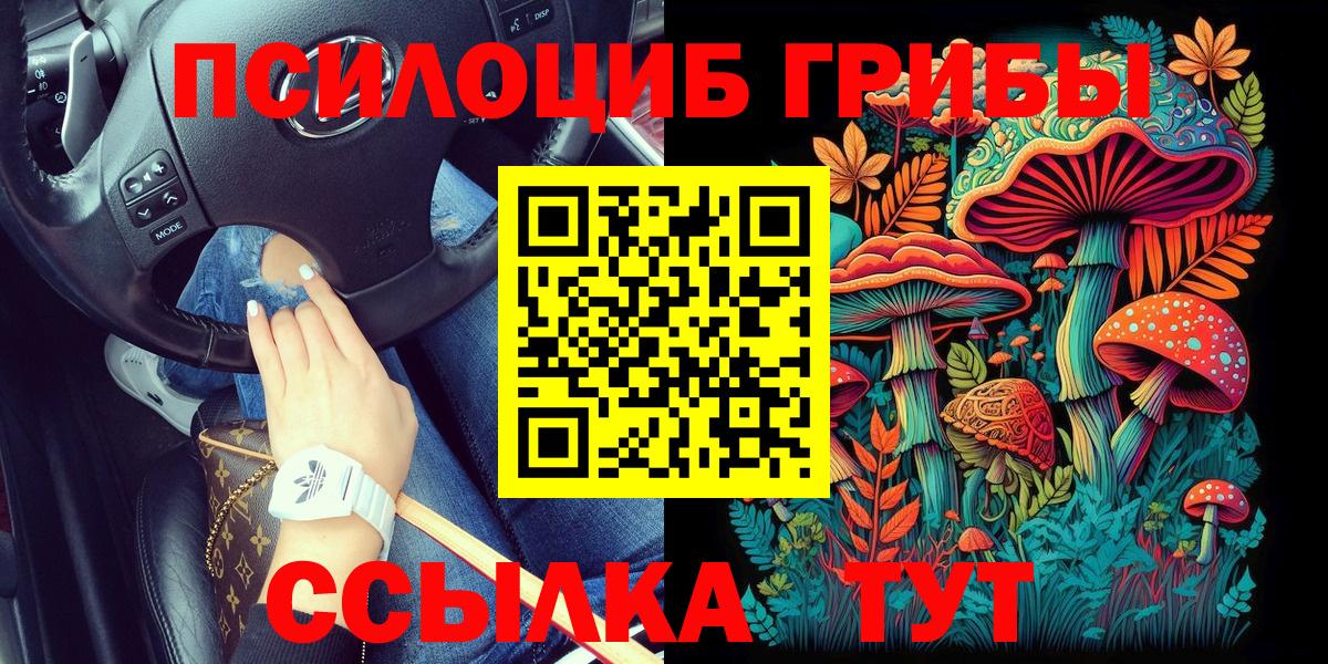 Электрогорск  Галлюциногенные грибы Cubensis  Вход с VPN 